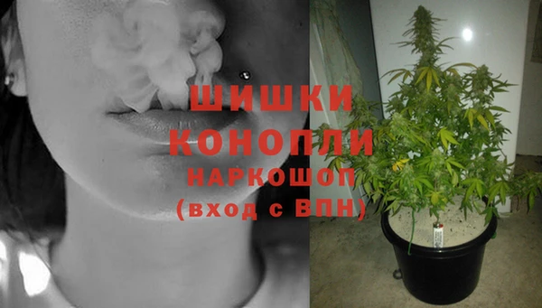 крисы Мегион