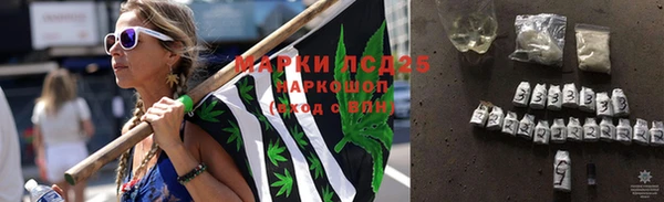 крисы Медвежьегорск