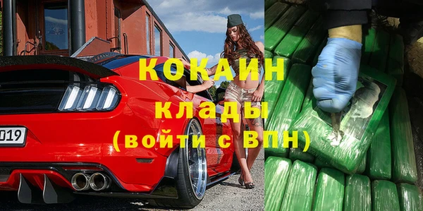 крисы Мегион