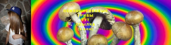 крисы Медвежьегорск