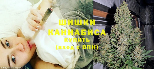 крисы Медвежьегорск