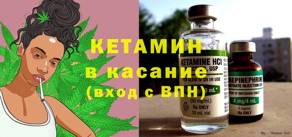 крисы Мегион
