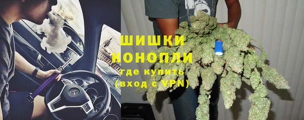 крисы Мегион