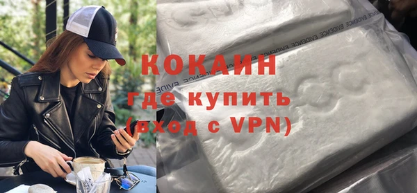 крисы Мегион