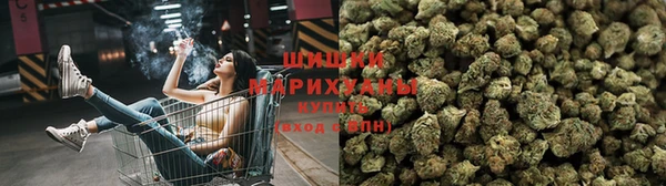 тгк Орск