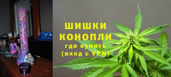 крисы Мегион