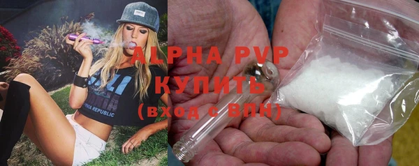 крисы Медвежьегорск