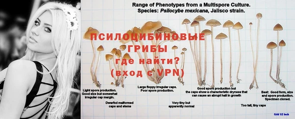 MDMA Медногорск