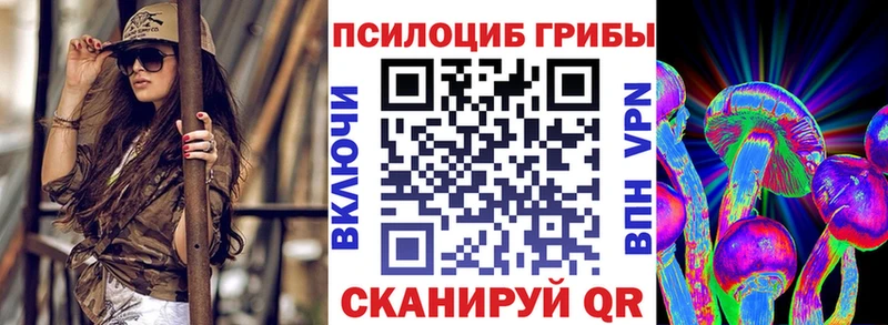 mega зеркало  Краснообск  Псилоцибиновые грибы Cubensis 